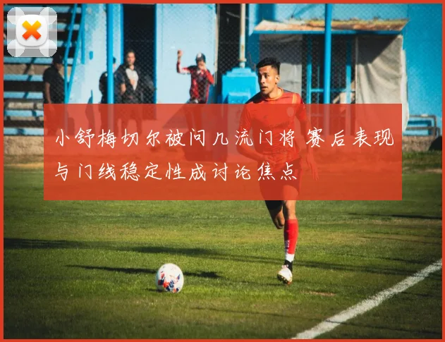 小舒梅切尔被问几流门将 赛后表现与门线稳定性成讨论焦点