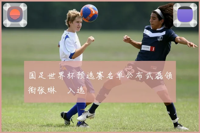 国足世界杯预选赛名单公布武磊领衔张琳芃入选