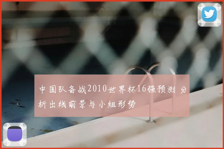 中国队备战2010世界杯16强预测 分析出线前景与小组形势